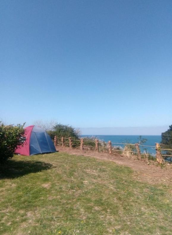 Aire De Camping Car, Caravane, Tente Emplacement Nu Avec Electricite Petit Camping Hotel Plestin-les-Grèves Eksteriør billede